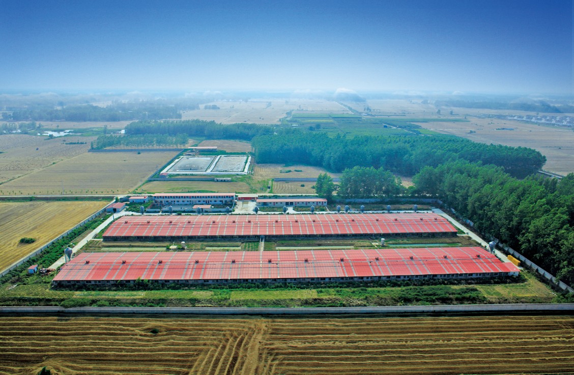 �����r(n��ng)���̼Ҽ��(zh��n)�ֈ��BD