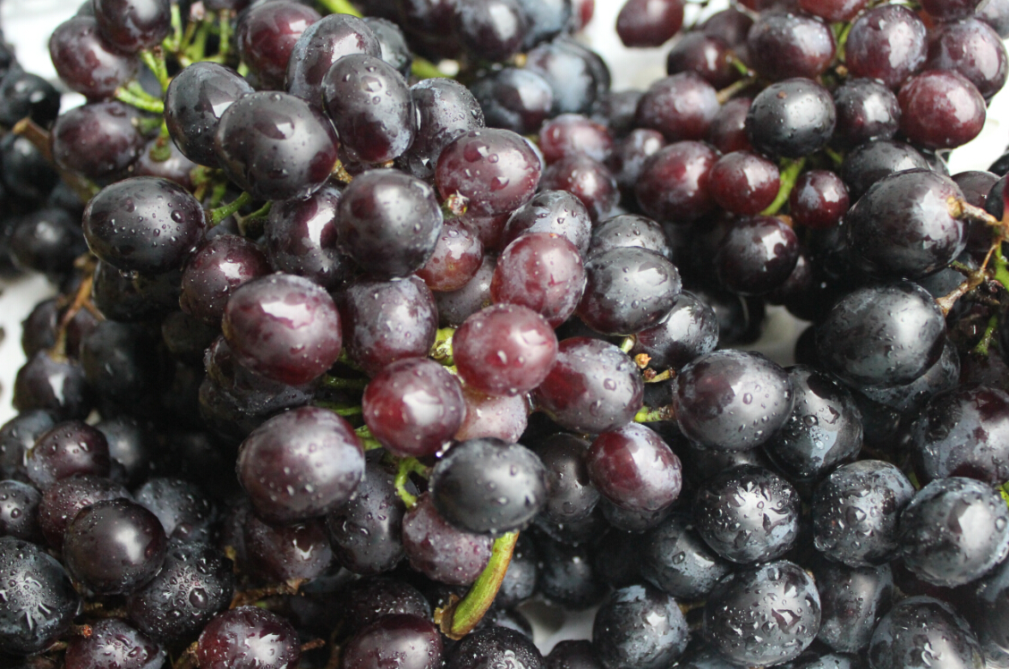 Ħ����������