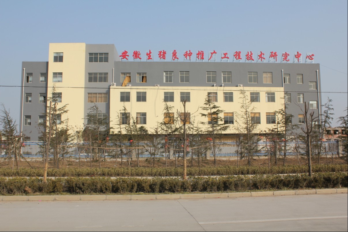 �������i���N�ƏV���̼��g(sh��)�о�����