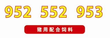 �i��������